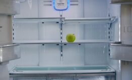 a-green-apple-in-an-empty-refrigerator-2025-01-10-13-39-00-utc